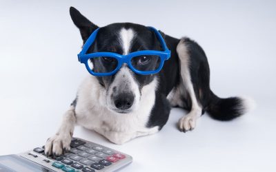 Darryl A. Hale, EA, MBA, MST’s Under-Utilized Pet Tax Deductions