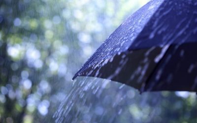 Darryl A. Hale, EA, MBA, MST’s Case for Umbrella Insurance